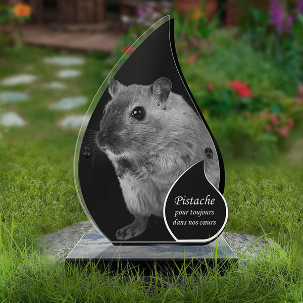 plaque funeraire pour animaux lueur eternae